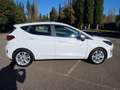 Ford Fiesta Fiesta VII 2022 5p 1.0 ecoboost h Titanium 125cv Bianco - thumbnail 5