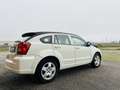 Dodge Caliber Caliber 2.0 td SXT Bianco - thumbnail 5