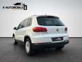 Volkswagen Tiguan Lounge Sport & Style Kamera Standheizung Weiß - thumbnail 4
