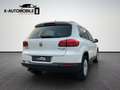 Volkswagen Tiguan Lounge Sport & Style Kamera Standheizung Weiß - thumbnail 6