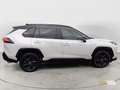 Toyota RAV 4 RAV4 2.5 HV (222CV) E-CVT AWD-i Style Weiß - thumbnail 6