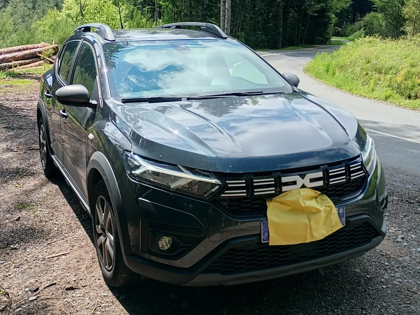 Dacia Sandero Sandero ECO-G 100Stepway Gris - 1