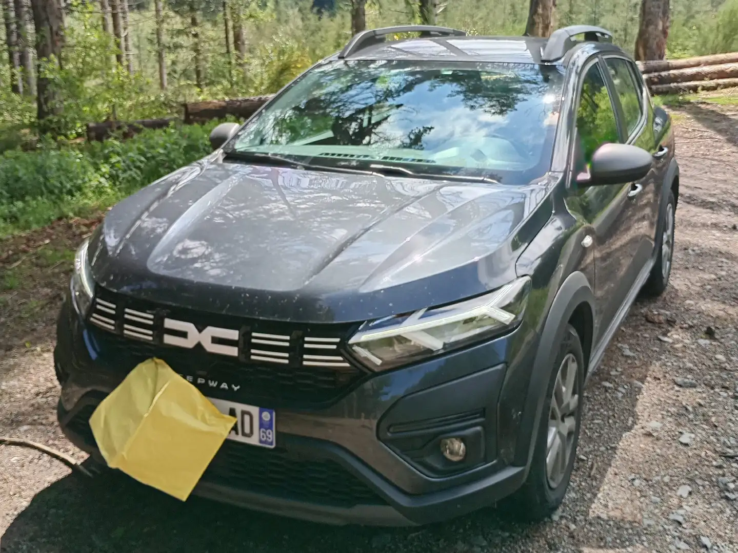 Dacia Sandero Sandero ECO-G 100Stepway Gris - 2
