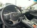 Lexus NX 300h 2.5 Business Navigation 2WD Blanc - thumbnail 24