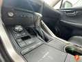 Lexus NX 300h 2.5 Business Navigation 2WD Blanc - thumbnail 14