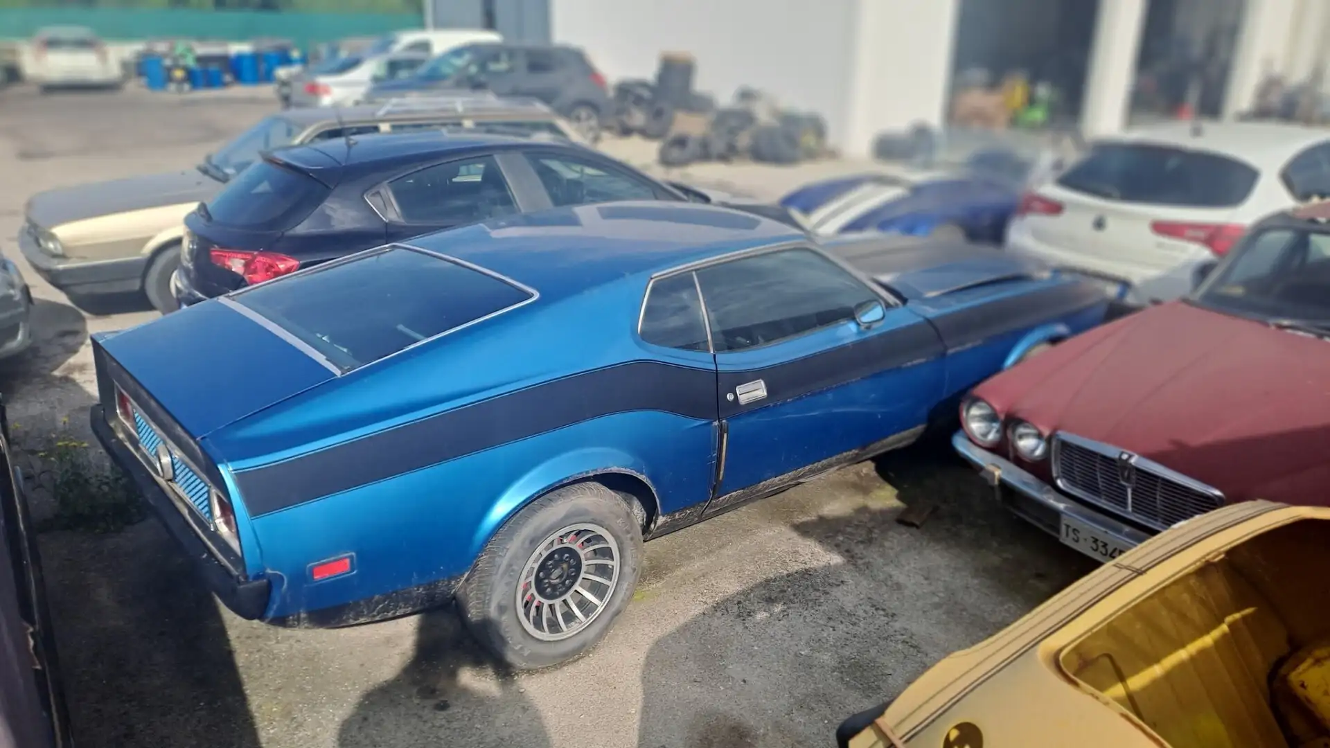 Ford Mustang MACH 1 Cleveland 5700! Bleu - 1