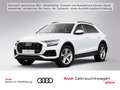 Audi Q8 (4MN)(07.2018->) 55 TFSI quattro HeadUp/Luft/ Weiß - thumbnail 1