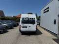 Ford Transit 2.2 TDCI 2.HAND+9-SITZER+HOCH+LANG+KLIMA Weiß - thumbnail 8