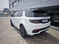 Land Rover Discovery Sport 2.0D TD4 MHEV R-Dynamic SE AWD Auto 204 Weiß - thumbnail 3