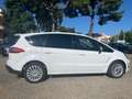 Ford S-Max S-Max I 2010 2.0 tdci Titanium 163cv powershift Blanc - thumbnail 7