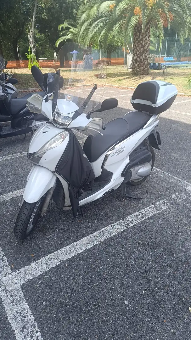 Honda SH 300 Bianco - 1