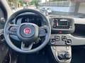 Fiat Panda 1.0 FireFly S&S Hybrid Blu/Azzurro - thumbnail 15