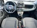 Fiat Panda 1.0 FireFly S&S Hybrid Blu/Azzurro - thumbnail 7
