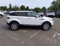 Land Rover Range Rover Evoque 2.2 TD4 5p. Pure Fehér - thumbnail 12