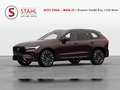 Volvo XC60 T6 Plus Dark Aut. | Vorlauffahrzeug | Auto Stah... Rot - thumbnail 1