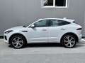 Jaguar E-Pace 2.0DI4 D180 R-Dynamic First-Edition AWD Aut. Weiß - thumbnail 5