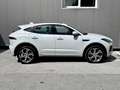 Jaguar E-Pace 2.0DI4 D180 R-Dynamic First-Edition AWD Aut. Weiß - thumbnail 2
