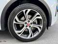 Jaguar E-Pace 2.0DI4 D180 R-Dynamic First-Edition AWD Aut. Weiß - thumbnail 20