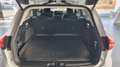 Ford Focus Active X Turnier 155PS Automatik Blanco - thumbnail 10