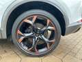 CUPRA Formentor VZ 2.0 TSI 4Drive DSG *AHK*Pano*Beats* Weiß - thumbnail 29