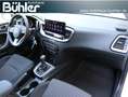 Kia Ceed SW / cee'd SW Sportswagon Vision PLUS LED-Scheinwerfer 1.5 T-... Blau - thumbnail 14