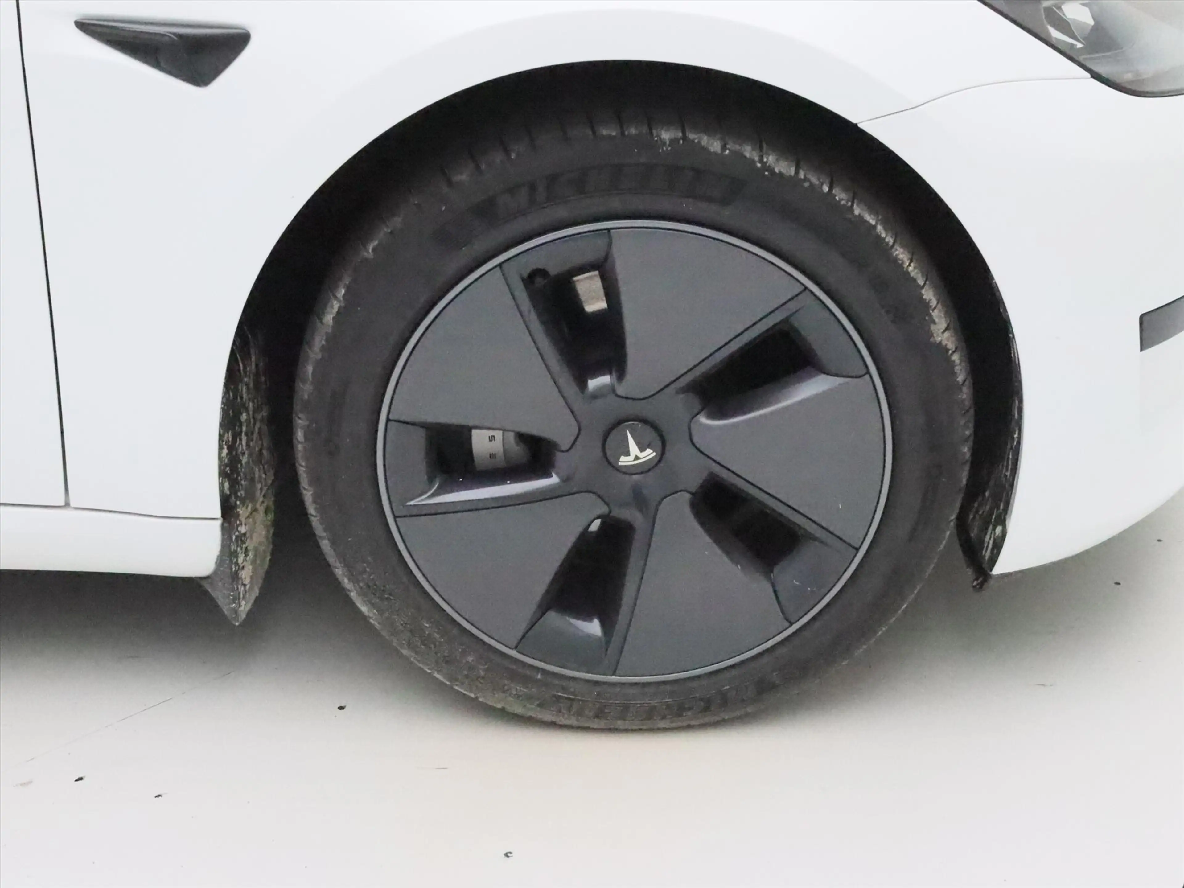 Tesla Model 3 Standard RWD Plus 96.4% SoH UPGRADE [ ENHANCED AUT — photo 10