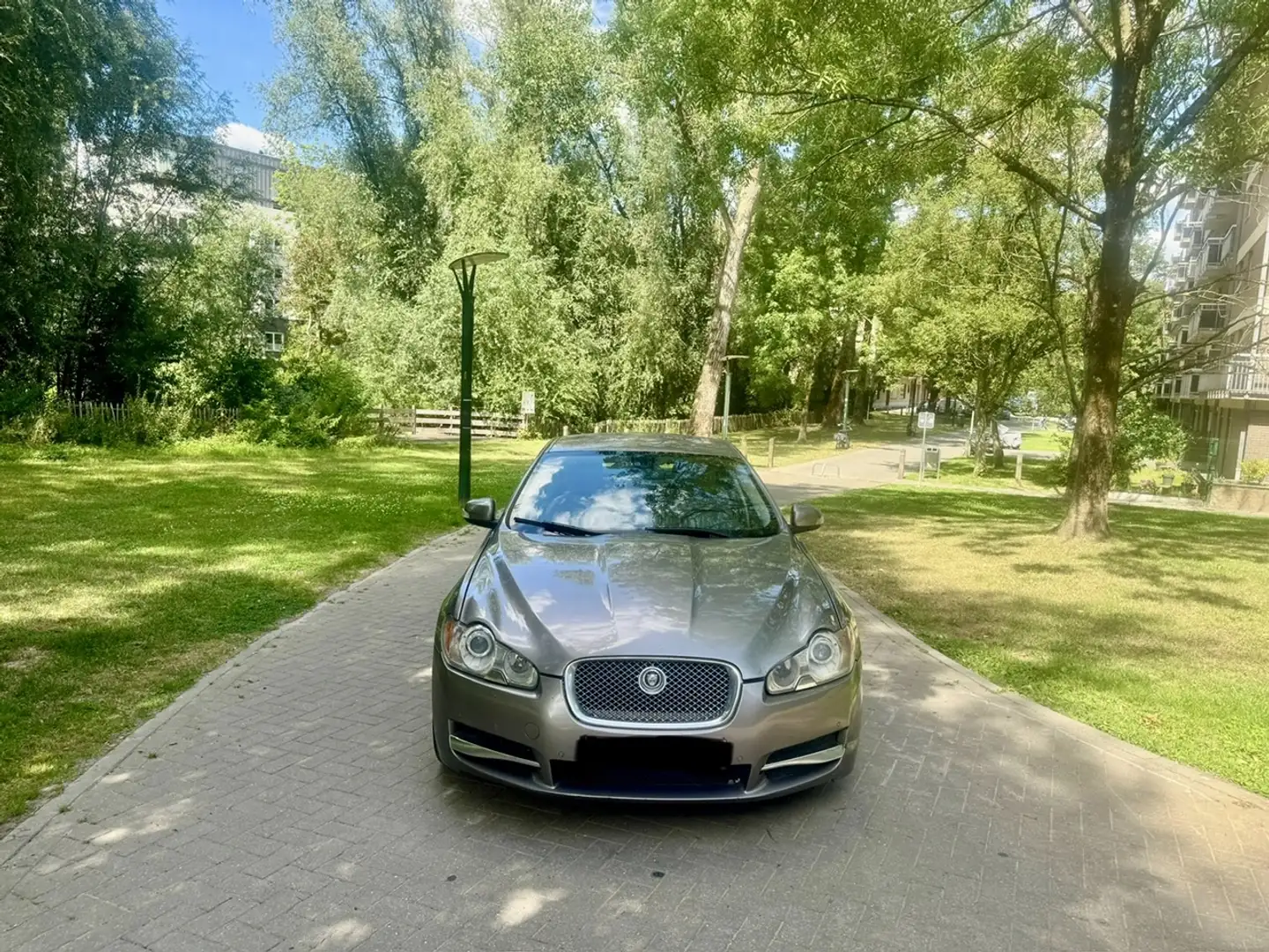 Jaguar XF XF 2.7 Turbo V6 Premium Luxury Grijs - 2