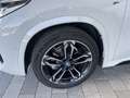 BMW iX1 eDrive20 M-Paket-AHV-PANORAMADACH-LED-KAMERA-AL... Weiß - thumbnail 7