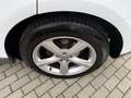 Audi Q5 2.0 TDI CLEAN DIESEL S -LINE XENON LED ACC Weiß - thumbnail 12