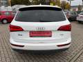 Audi Q5 2.0 TDI CLEAN DIESEL S -LINE XENON LED ACC Weiß - thumbnail 15