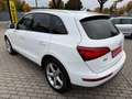 Audi Q5 2.0 TDI CLEAN DIESEL S -LINE XENON LED ACC Weiß - thumbnail 8