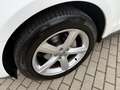 Audi Q5 2.0 TDI CLEAN DIESEL S -LINE XENON LED ACC Weiß - thumbnail 11