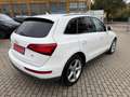 Audi Q5 2.0 TDI CLEAN DIESEL S -LINE XENON LED ACC Weiß - thumbnail 6