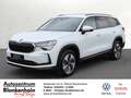 Skoda Kodiaq 1,5 TSI Selection Preisknaller mit AHK ! Blanco - thumbnail 1