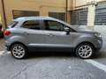 Ford EcoSport 1.0 EcoBoost 125 CV Start&Stop Titanium Grigio - thumbnail 2