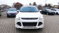 Ford Kuga AWD Individual+AHK+PANO+XENON+CAM+8-fach be Blanc - thumbnail 10