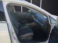 Volkswagen Golf VIII Variant TDI Alltrack DSG 4M Matrix Navi AI... Weiß - thumbnail 14