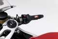 Ducati V2 Panigale IDM Rennmotorrad Rot - thumbnail 12