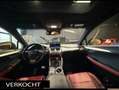 Lexus NX 300h AWD F F SPORT Line 4x4. Navi. Apple-carplay. Panor Gris - thumbnail 17