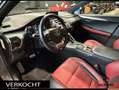 Lexus NX 300h AWD F F SPORT Line 4x4. Navi. Apple-carplay. Panor Gris - thumbnail 19