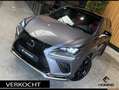 Lexus NX 300h AWD F F SPORT Line 4x4. Navi. Apple-carplay. Panor Gris - thumbnail 47