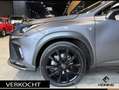 Lexus NX 300h AWD F F SPORT Line 4x4. Navi. Apple-carplay. Panor Gris - thumbnail 4