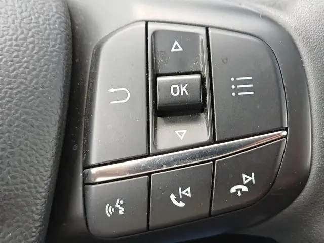 Ford Kuga view 15