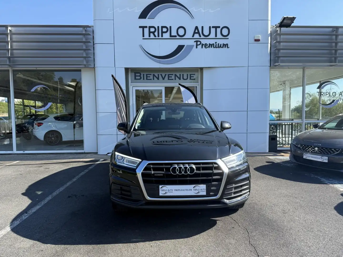 Audi Q5 Q5 Quattro 2.0 40 TDI Mild Hybrid - 204 - BV S-tronic Business Executive - CAMERA AR + GPS Noir - 2