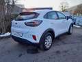 Ford Puma 1,0 EcoBoost Cool & Connect Weiß - thumbnail 4