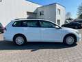 Volkswagen Golf 7 VII 1.6 Variant Comfortline BMT/Start Blanc - thumbnail 5
