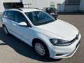 Volkswagen Golf 7 VII 1.6 Variant Comfortline BMT/Start Blanc - thumbnail 4