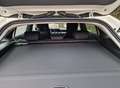 Mercedes-Benz CL 200 Shooting brake Weiß - thumbnail 4