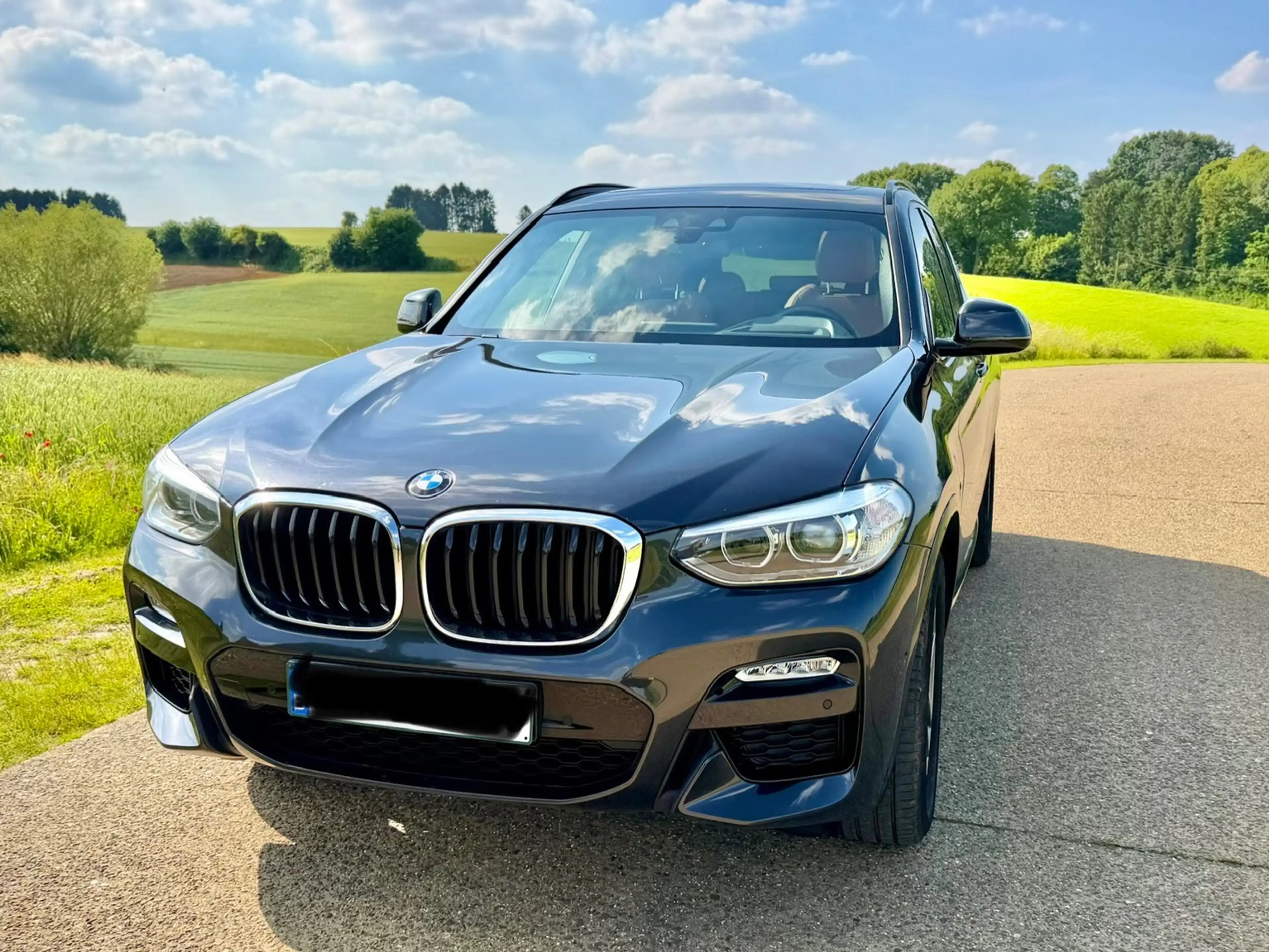 BMW X3 X3 xDrive20l Pack M — photo 6
