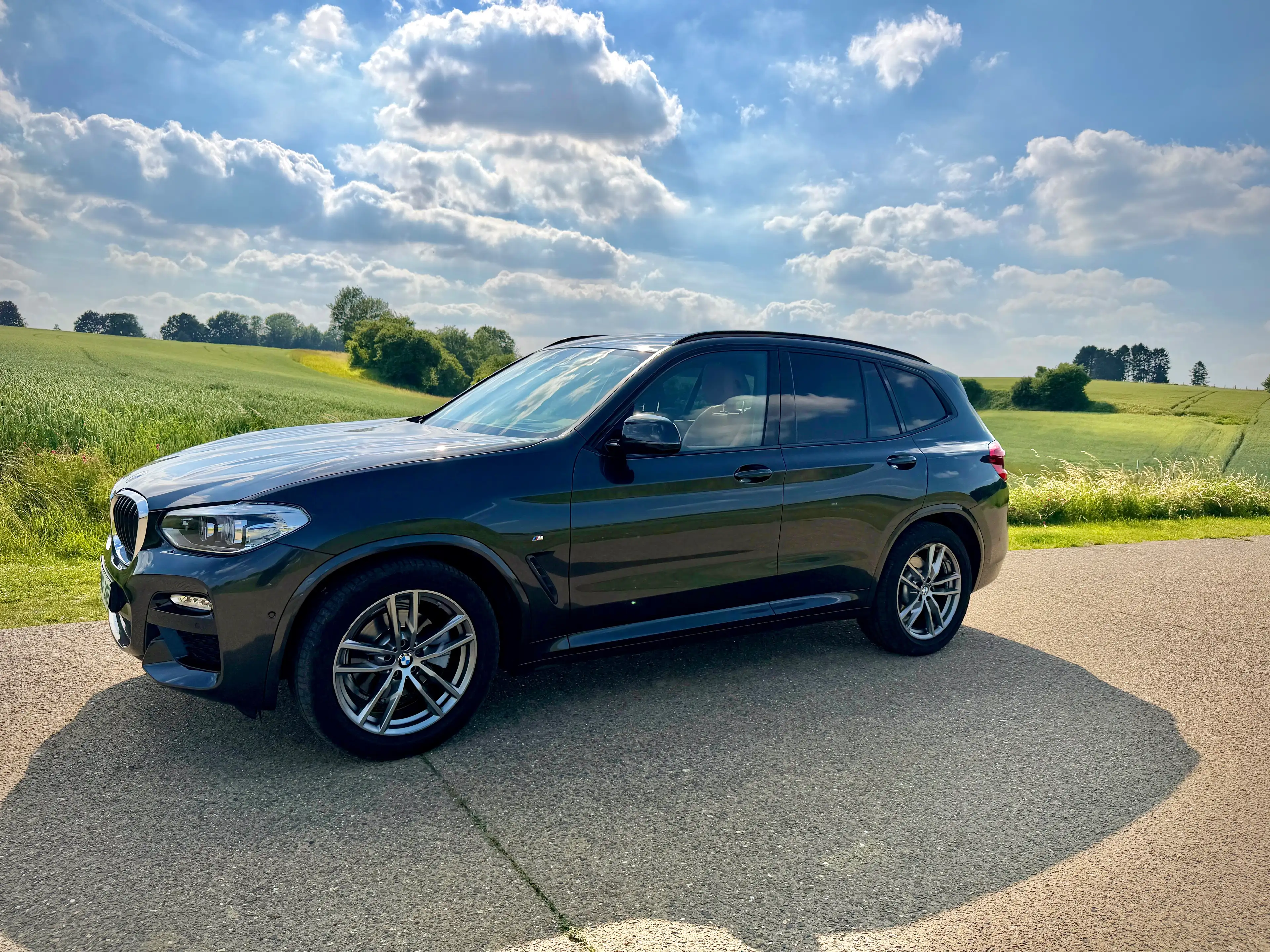 BMW X3 X3 xDrive20l Pack M
